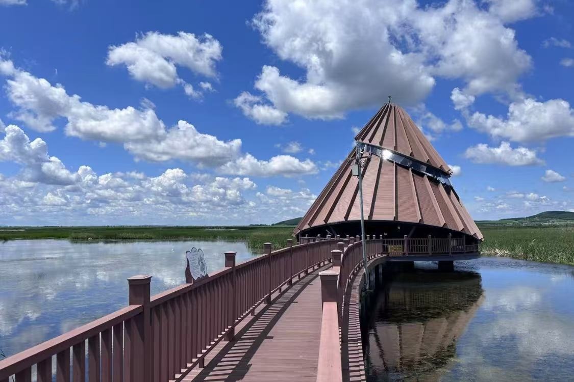 Fujin National Wetland Park